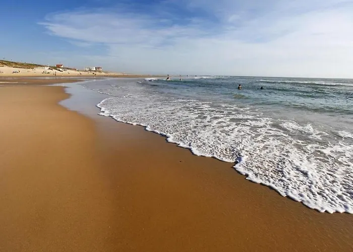 Plage, 2 Pièces, 2 Personnes - Fr-1-521-117 Appartamento Biscarrosse-Plage